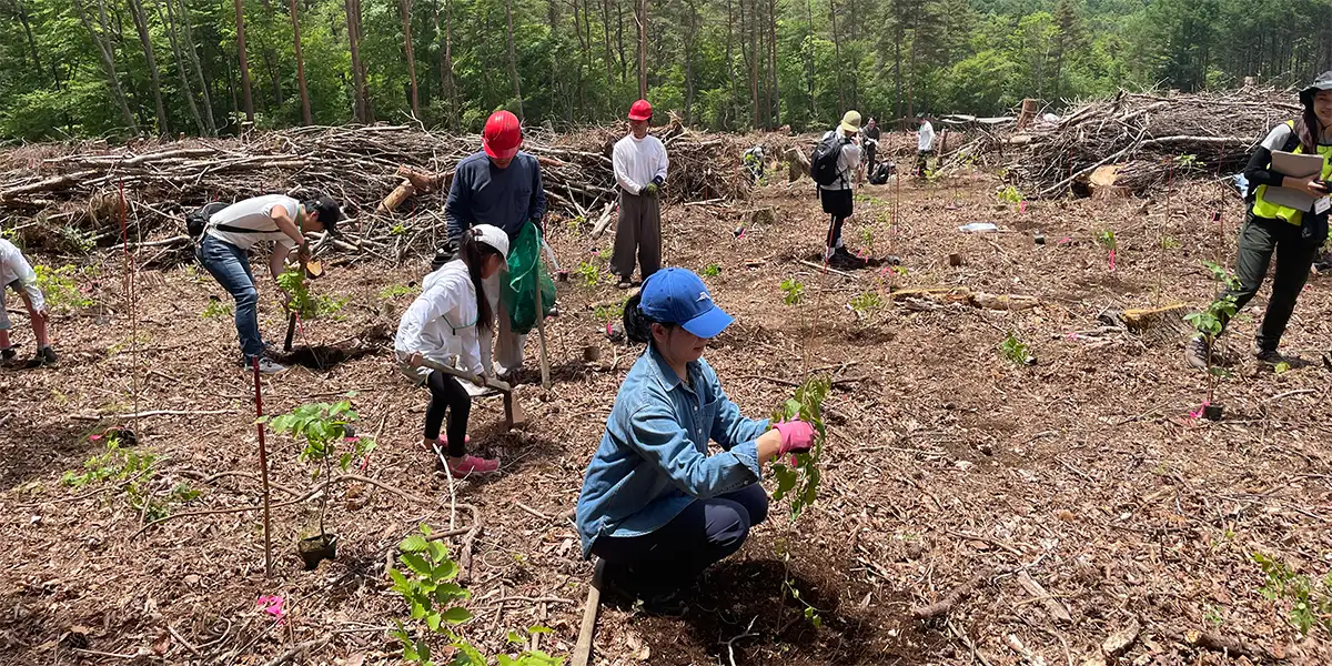 Reforestration 森林再生